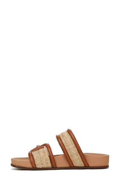 Shop Sam Edelman Rowan Sandal In Dark Natural/ Rich Cognac