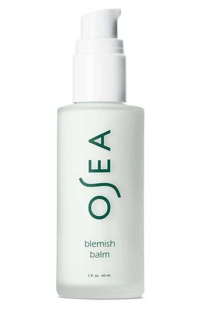 Shop Osea Blemish Balm