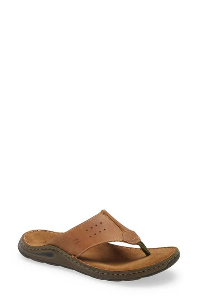 Shop Josef Seibel Maverick 05 Flip Flop In Castagne