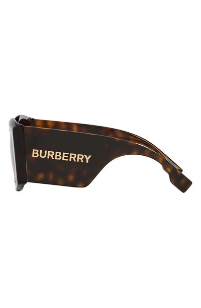 Shop Burberry Joni 55mm Gradient Square Sunglasses In Dk Havana