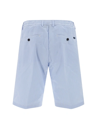 Shop Paul E Shark Cotton Bermuda Shorts