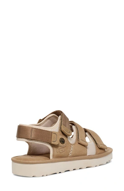 Shop Ugg Goldencoast Multistrap Sandal