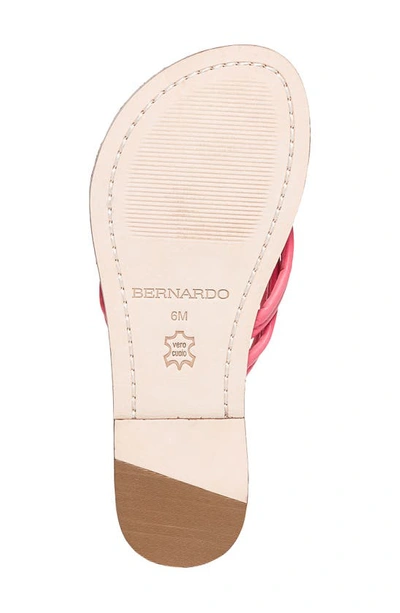 Shop Bernardo Footwear Bernardo Miami Sandal In Peony