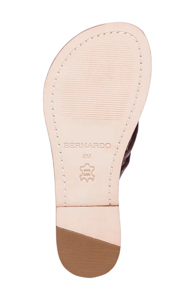 Shop Bernardo Footwear Bernardo Miami Sandal In Mahogany