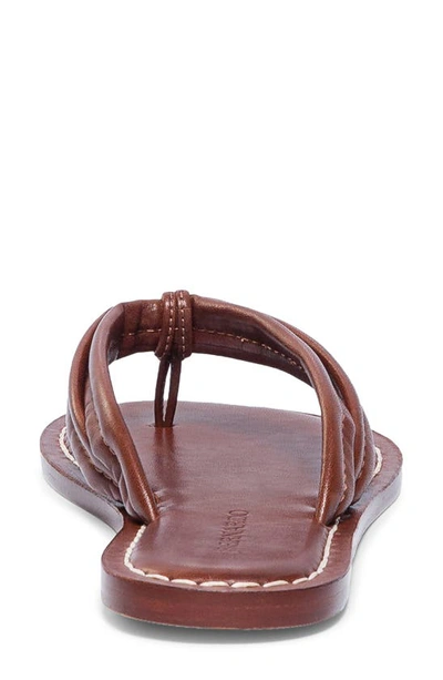 Shop Bernardo Footwear Bernardo Miami Sandal In Mahogany