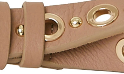 Shop B-low The Belt Lodyn Grommet Leather Belt In Vacchetta Gold