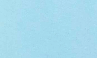 Mother The Mock 10 T-shirt In Sky Blue