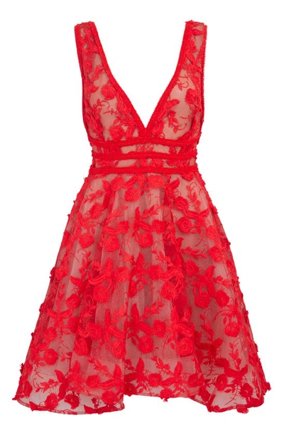 Shop Nadine Merabi Lola Embroidered Sleeveless Fit & Flare Minidress In Red