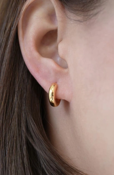 Argento Vivo Small Chubby Huggie Hoop Earrings In Gold