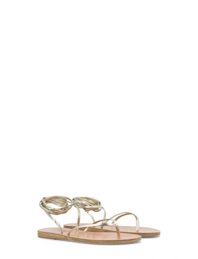 Shop Ancient Greek Sandals Celia Sandals In Platinum