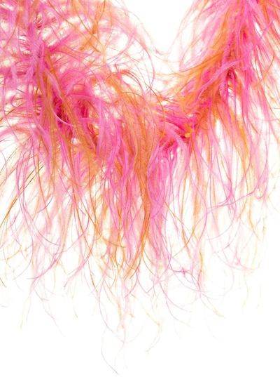 Shop Stephan Janson Multicolor Boa In Ostrich Feathers  Woman In Pink