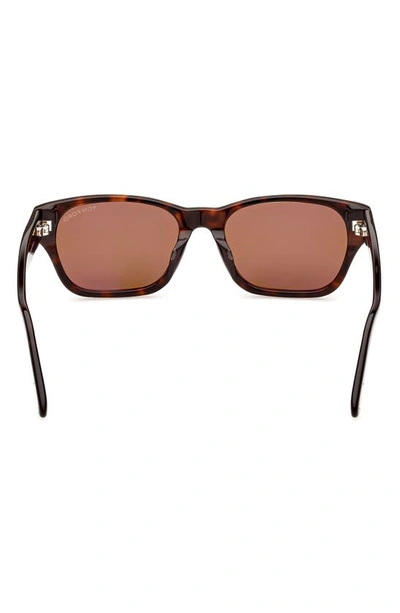 Shop Tom Ford 54mm Square Sunglasses In Dark Havana / Brown