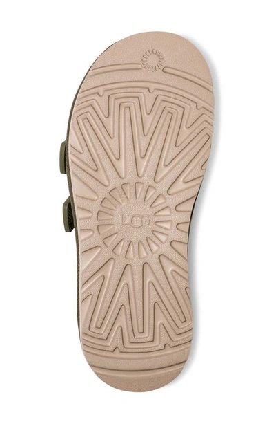 Ugg Goldencoast Strap Slide 'shaded Clover' In Shaded Clover