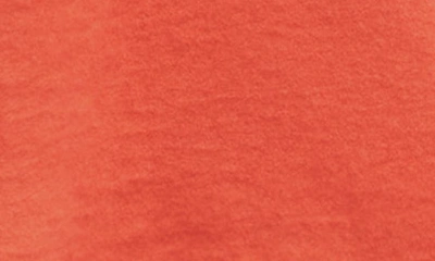 Shop Allsaints Anna Cotton T-shirt In Burnt Orange