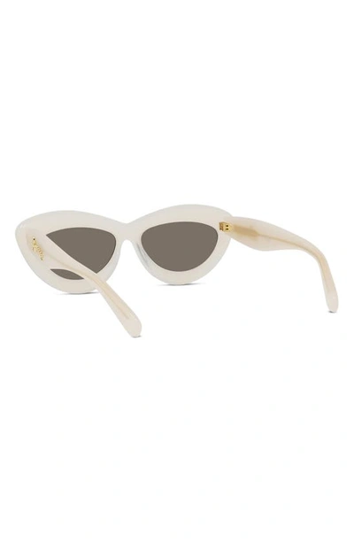 Shop Loewe Curvy 54mm Cat Eye Sunglasses In Ivory / Brown