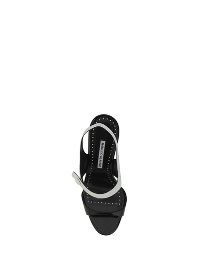 Shop Manolo Blahnik Sandals In Blck/whit