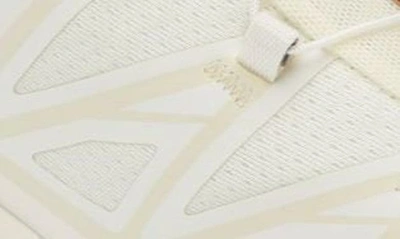 Shop Salomon Gender Inclusive Xt-6 Sneaker In Vanilla Ice/vanilla Ice/almond