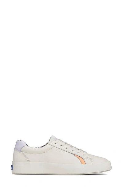 Shop Keds Pursuit Low Top Sneaker In White/ Tan Leather