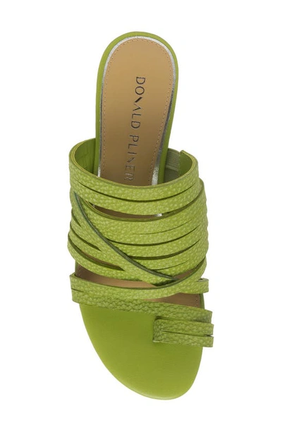 Shop Donald Pliner Strappy Block Heel Sandal In Pistachio