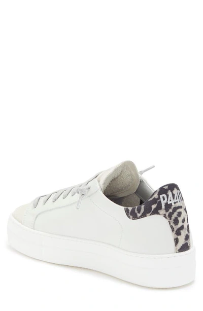 Shop P448 Thea Platform Sneaker In White/ Snow Leopard Print