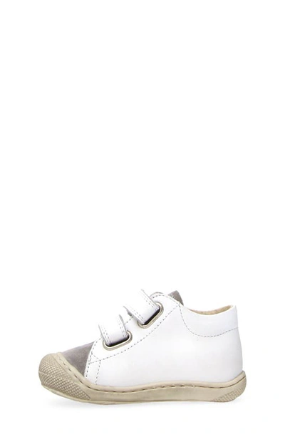 Shop Naturino Kids' Kolde Sneaker In Grey-white-azure