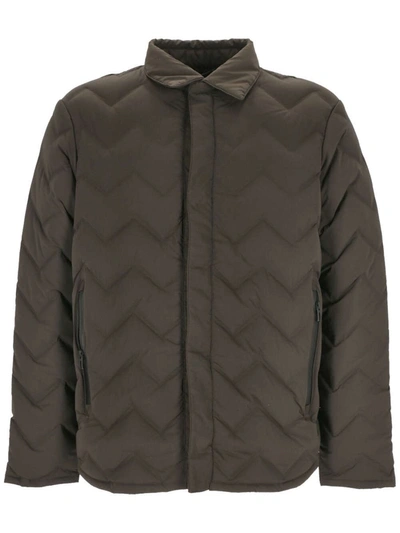 Shop Ea7 Emporio Armani Jackets In Brown