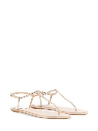 Shop René Caovilla Sandal "diana" In Nude