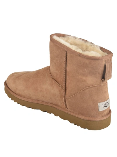 Shop Ugg Boots In Chestnut