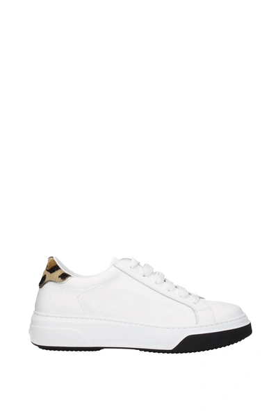 Shop Dsquared2 Sneakers Bumper Leather White Leopard