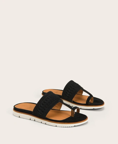 Shop Gentle Souls Lavern Lite Thong Braided Sandal In Black