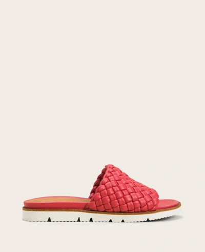 Shop Gentle Souls Lavern Lite Braided Slide Sandal In Coral