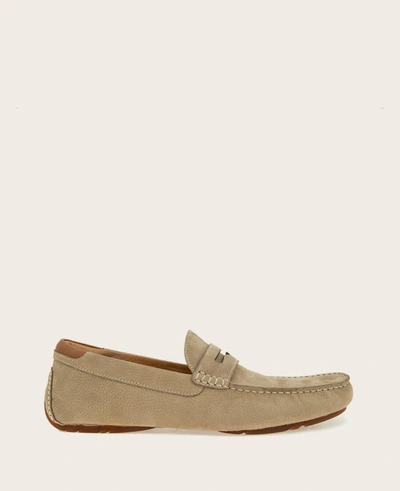 Shop Gentle Souls Nyle Penny Driver In Taupe