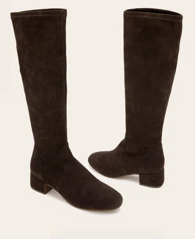 Gentle Souls Ella Stretch Boot In Chocolate