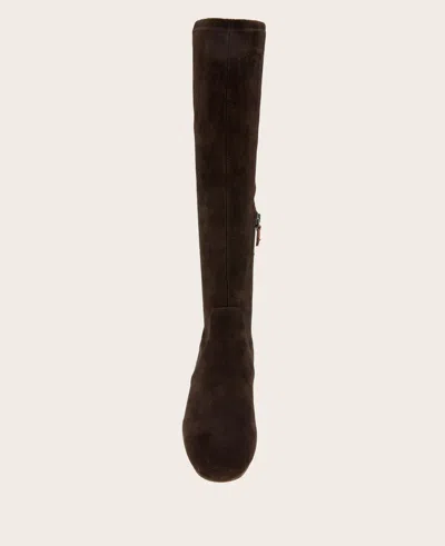 Gentle Souls Ella Stretch Boot In Chocolate
