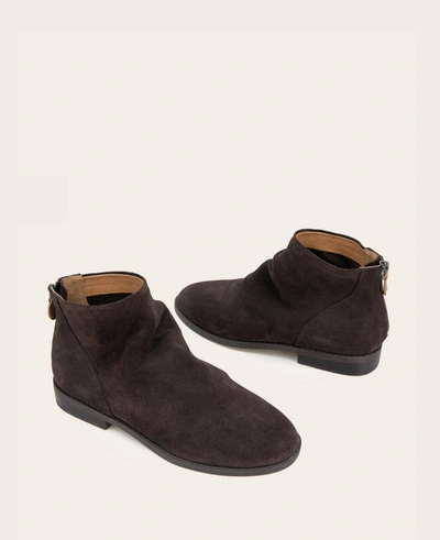 Gentle Souls Emma Suede Zip Bootie In Chocolate