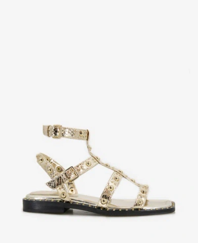 Shop Kenneth Cole Ruby Studded Gladiator Flat Sandal In Gold