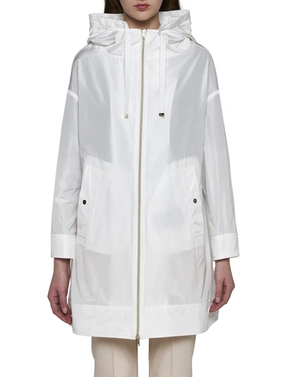 Shop Herno Coats In White