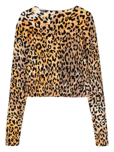 Shop Just Cavalli Sweaters In Brown