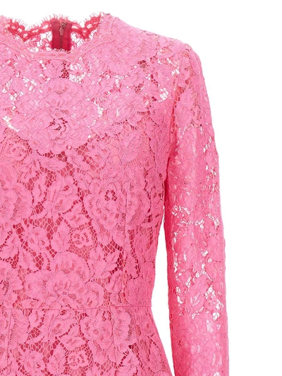 Shop Dolce & Gabbana Lace Sheath Dress In Pink