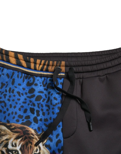 Shop Dolce & Gabbana Stunning Exotic Print Jogger Men's Pants In Black And Blue
