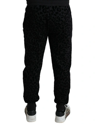 Shop Dolce & Gabbana Black Leopard Cotton Slim Fit Jogger Men's Pants