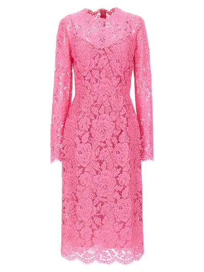 Shop Dolce & Gabbana Lace Sheath Dress Dresses In Pink