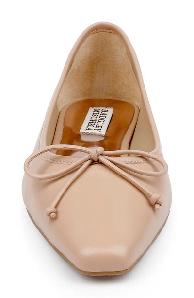 Shop Badgley Mischka Cam Pointed Toe Ballet Flat In Blush