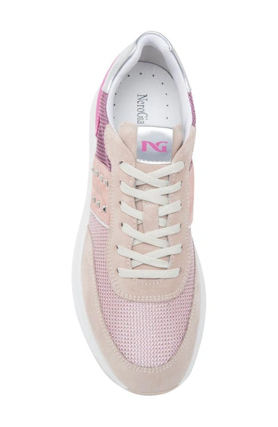 Shop Nerogiardini Colorblock Sneaker In Pink