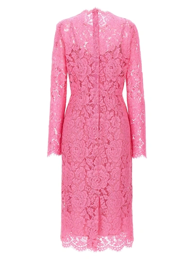 Shop Dolce & Gabbana Lace Sheath Dress Dresses Pink