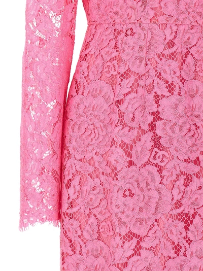 Shop Dolce & Gabbana Lace Sheath Dress Dresses Pink