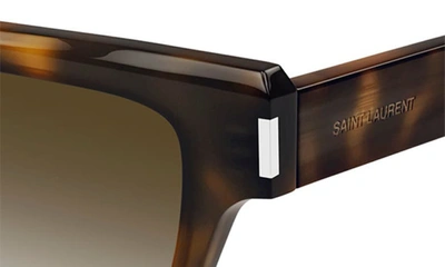 Shop Saint Laurent 51mm Rectangular Sunglasses In Havana