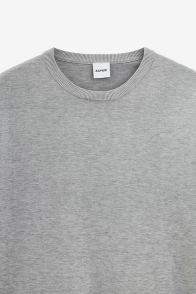 Shop Aspesi T-shirts In Grey