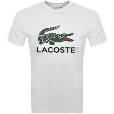Shop Lacoste Logo T Shirt White