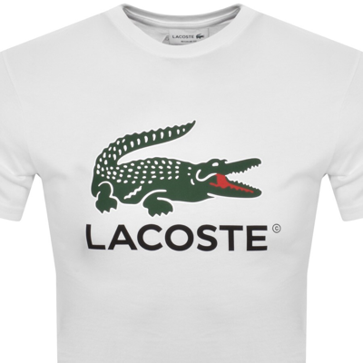 Shop Lacoste Logo T Shirt White